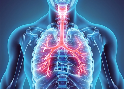 Un nuevo estudio de la Universidad de Yale demuestra: “Una humedad del aire demasiado baja (<40%